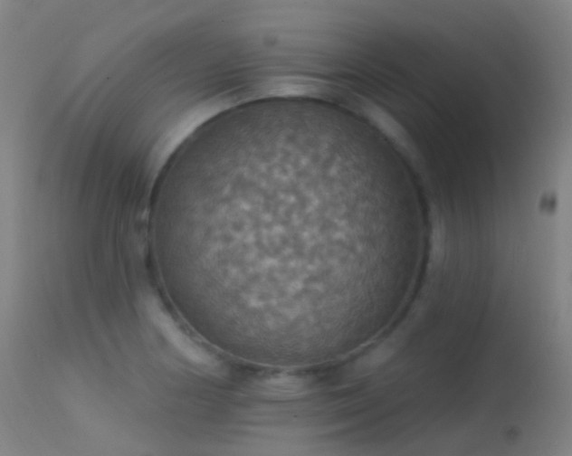 X0000113231178200909171532