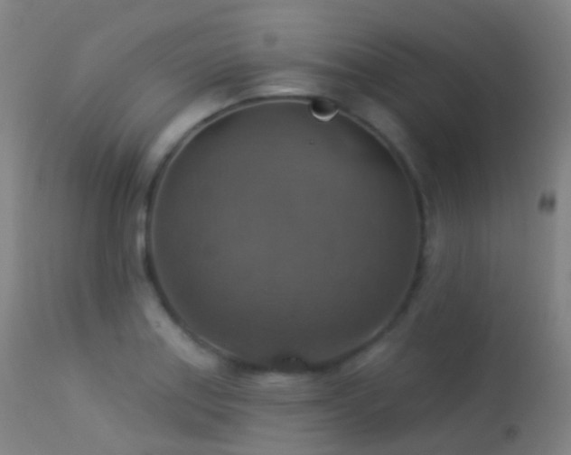X0000113231179200909171532