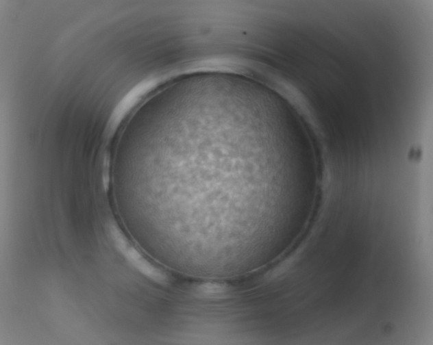 X0000113231180200909171532