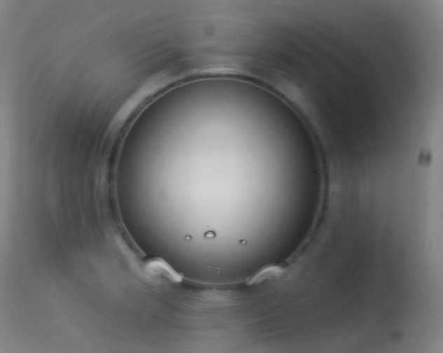 X0000113231181200909171532