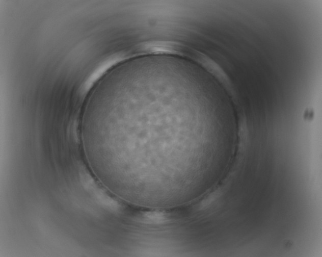 X0000113231182200909171532