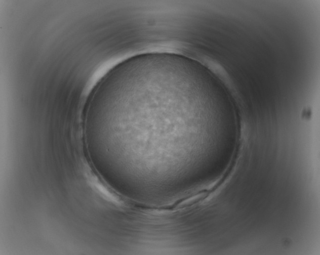 X0000113231184200909171532