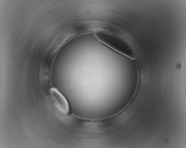 X0000113231185200909171532