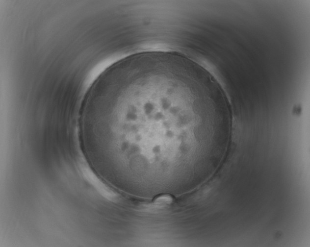 X0000113231187200909171532