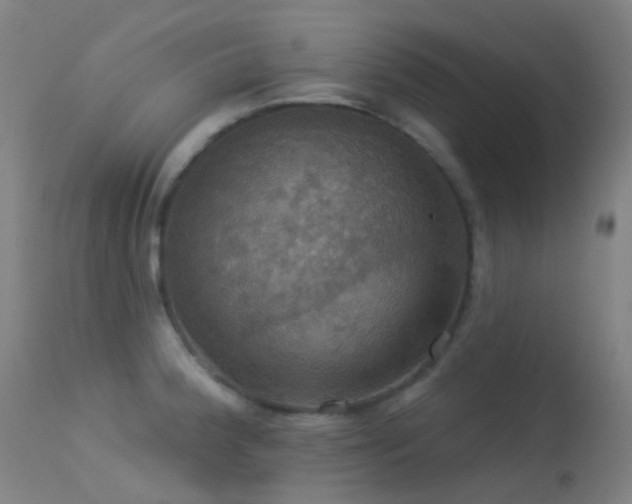 X0000113231188200909171532