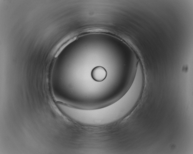 X0000113231189200909171532