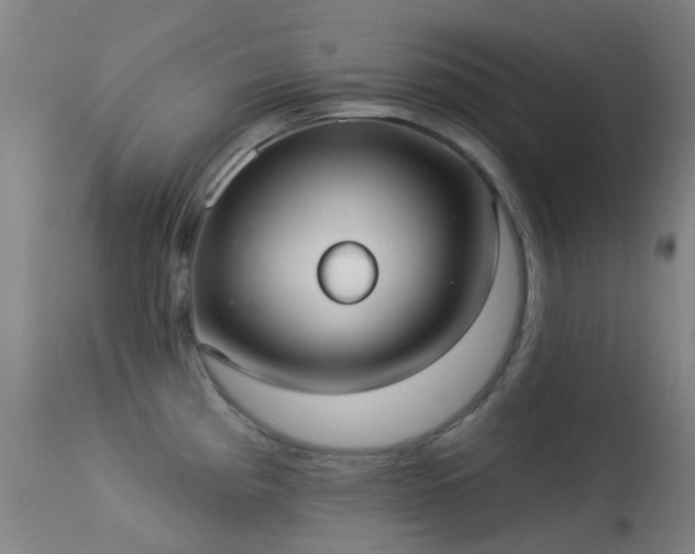 X0000113231193200909171532