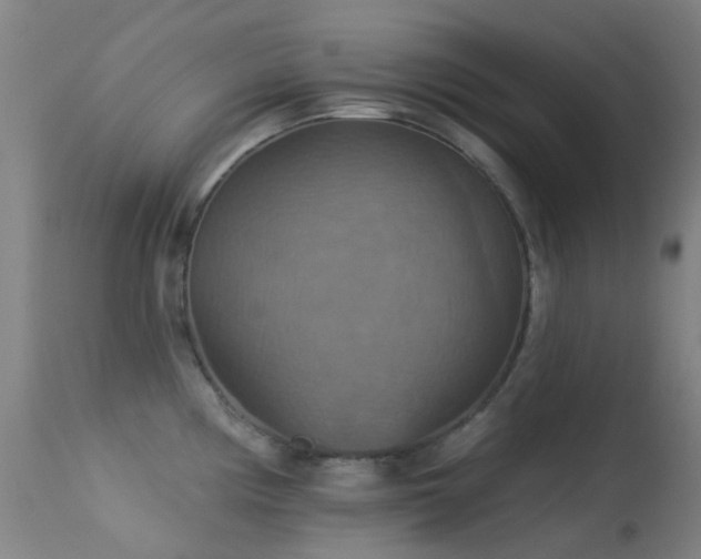 X0000113231194200909171532