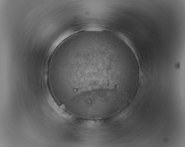 X0000113231195200909171532