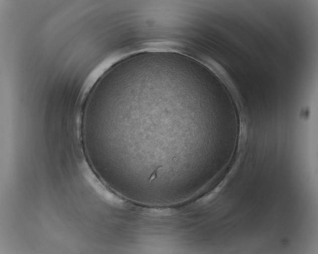 X0000113231196200909171532