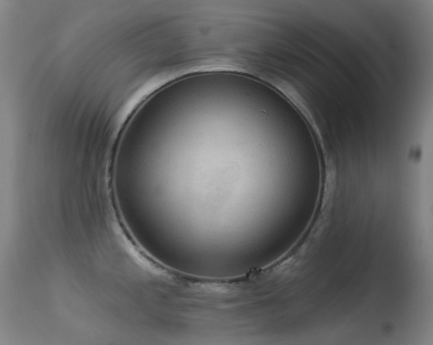 X0000113231197200909171532