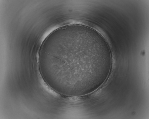 X0000113231198200909171531