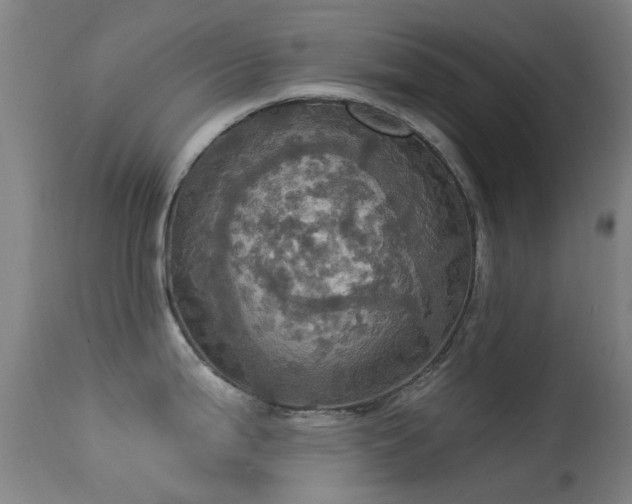 X0000113231199200909171531