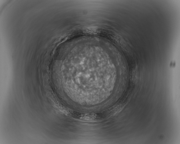 X0000113231201200909171531