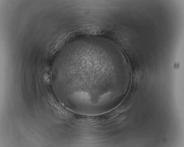 X0000113231202200909171531