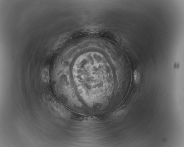 X0000113231203200909171531