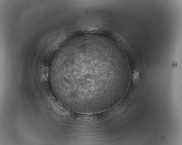 X0000113231204200909171531