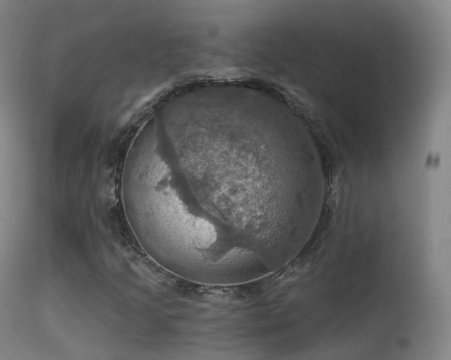 X0000113231205200909171531