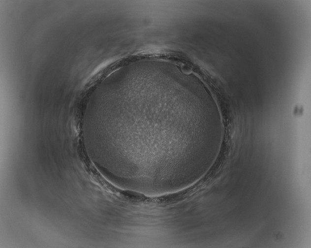 X0000113231206200909171531