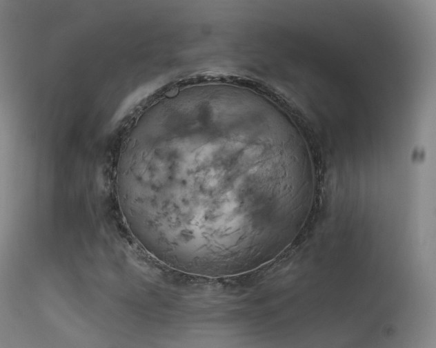 X0000113231207200909171531