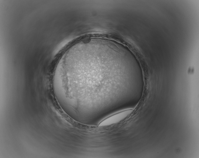 X0000113231208200909171531