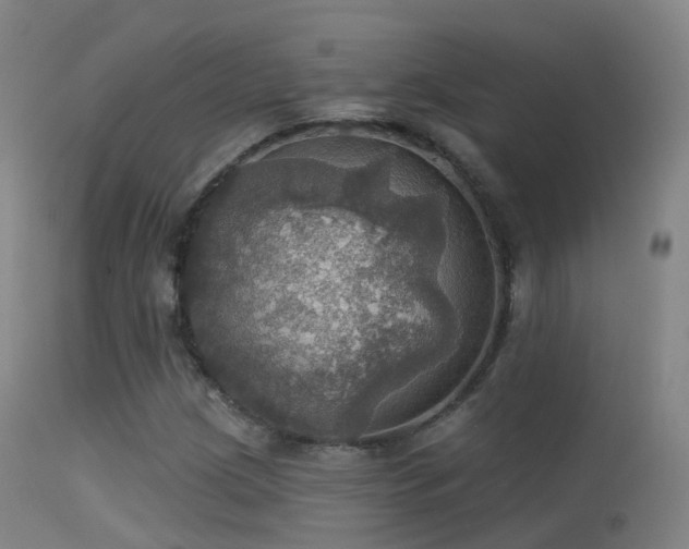 X0000113231209200909171531