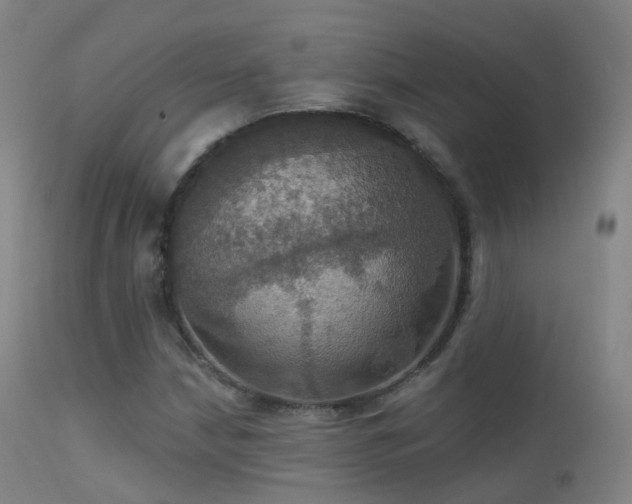 X0000113231210200909171531