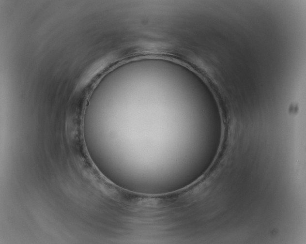 X0000113231211200909171531