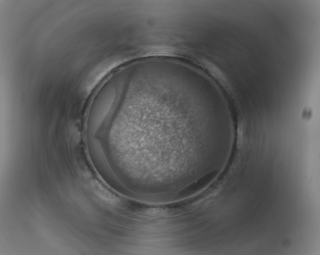 X0000113231212200909171531
