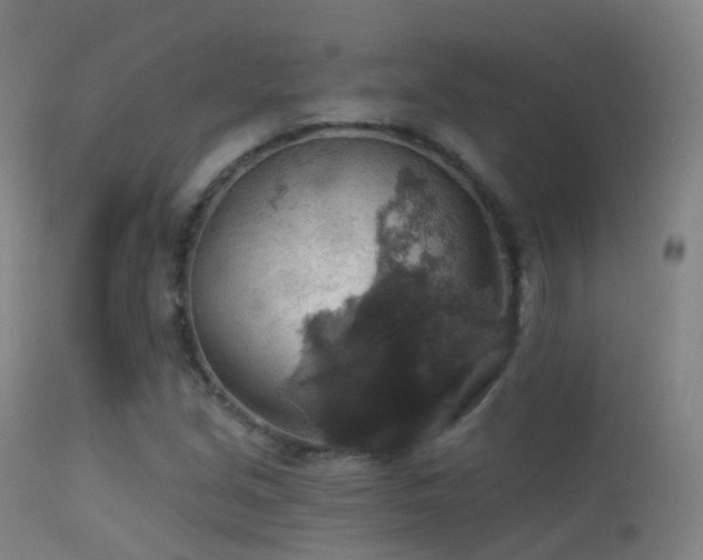 X0000113231213200909171531