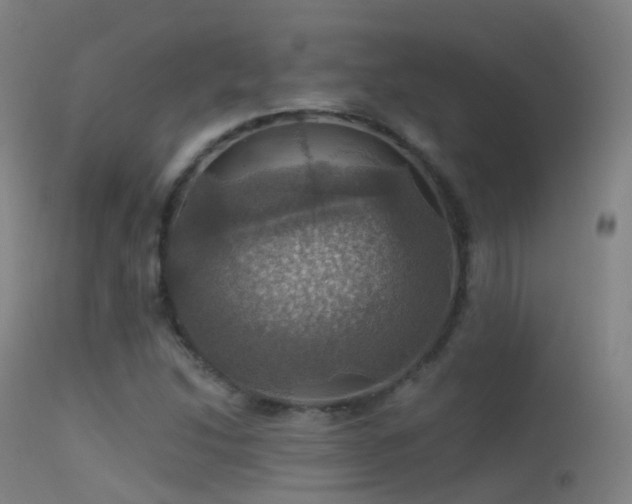 X0000113231214200909171531