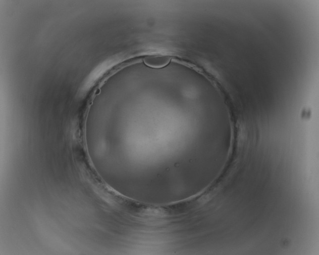 X0000113231215200909171531