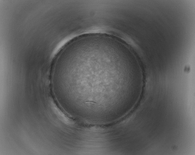 X0000113231216200909171531