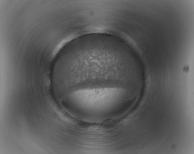 X0000113231218200909171531
