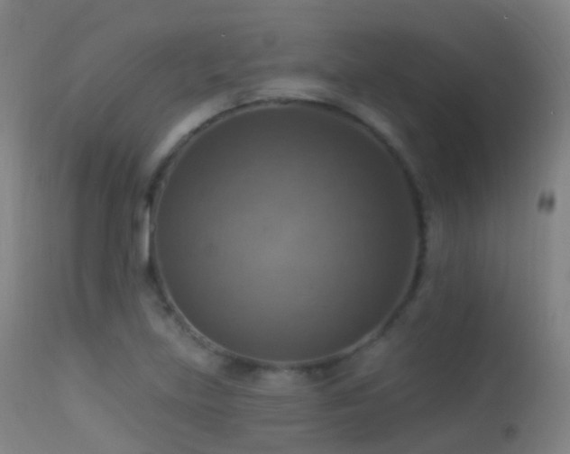 X0000113231219200909171531