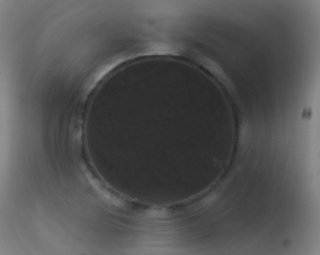 X0000113231220200909171531