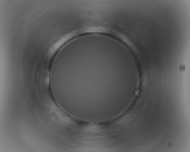 X0000113231221200909171531