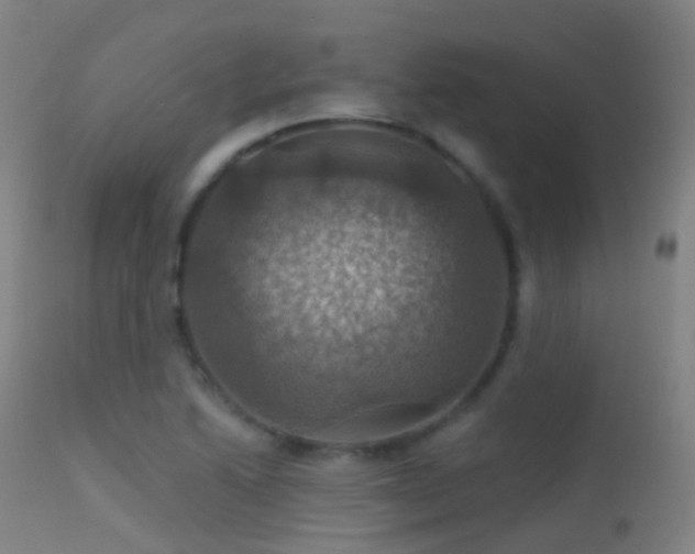 X0000113231222200909171531
