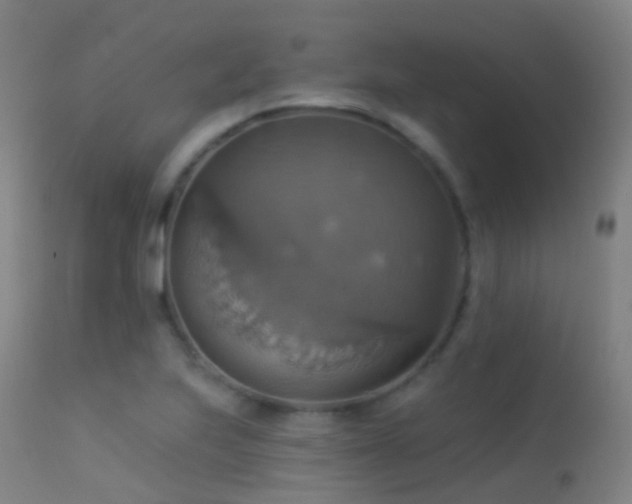 X0000113231223200909171531