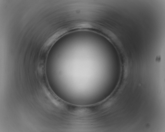X0000113231225200909171531