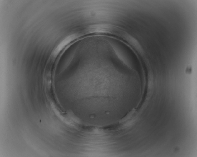 X0000113231226200909171531
