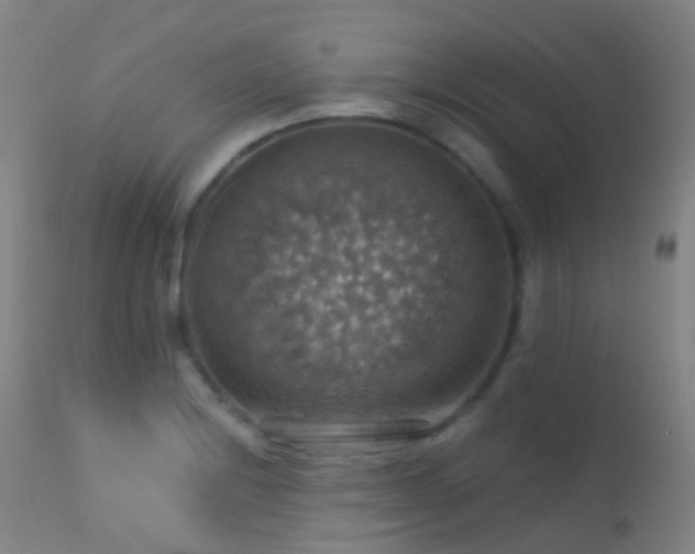 X0000113231228200909171531