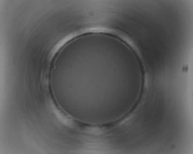 X0000113231229200909171531