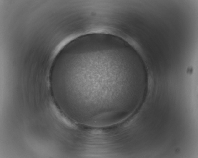 X0000113231230200909171531