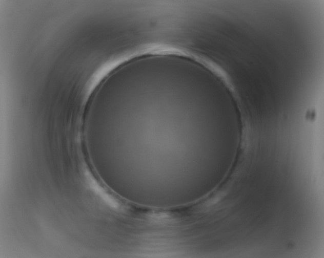 X0000113231231200909171531