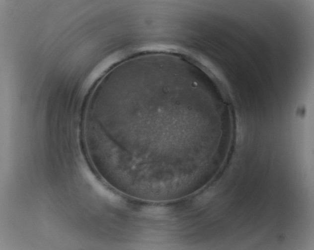X0000113231237200909171531