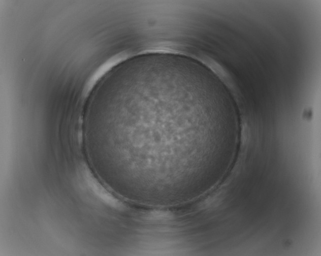 X0000113231238200909171531