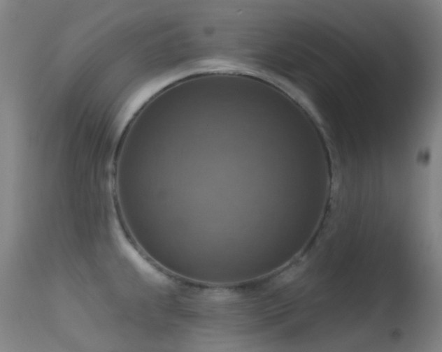 X0000113231239200909171531