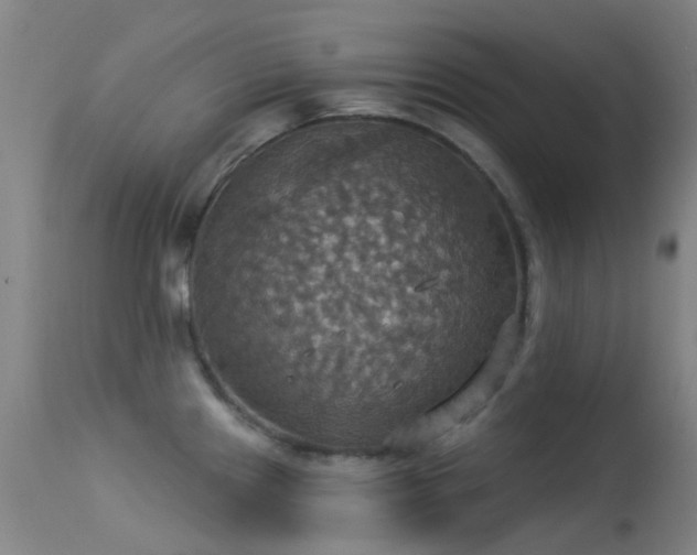 X0000113231241200909171531