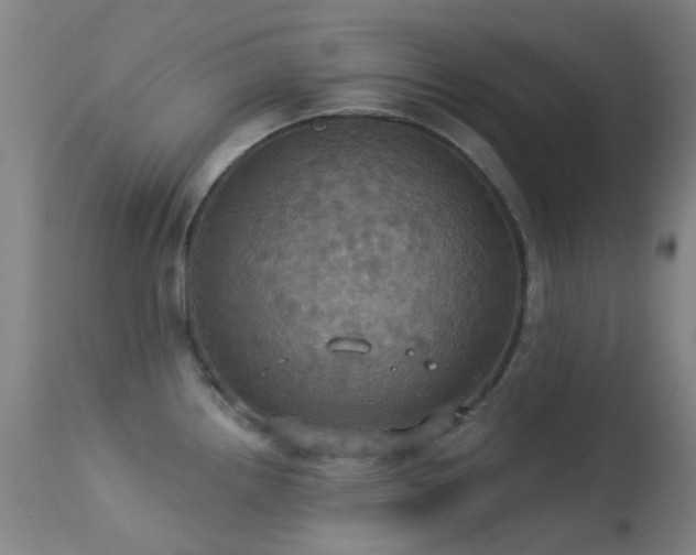 X0000113231242200909171531